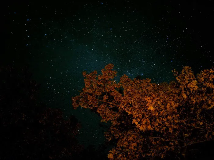 Glidden Lake State Forest Campground Picture 9