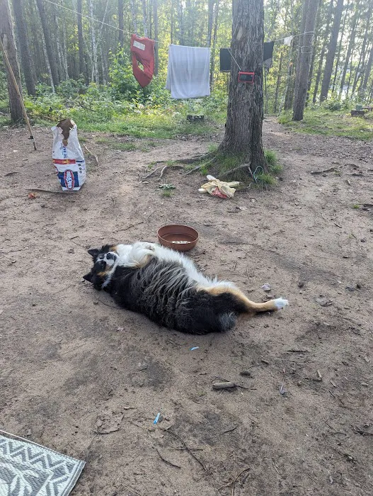 Morgan Lake Campground Picture 2