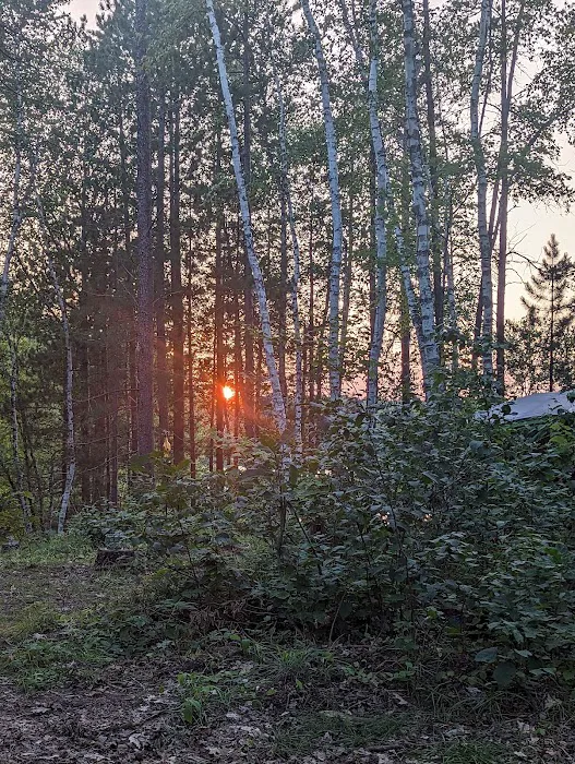 Morgan Lake Campground Picture 7