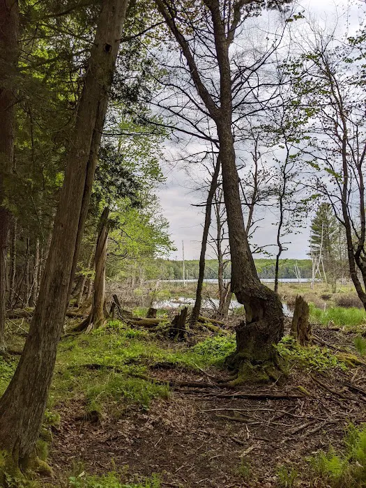 Lost Lake Cabins Picture 5