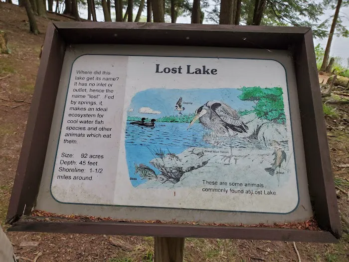 Lost Lake Cabins Picture 10