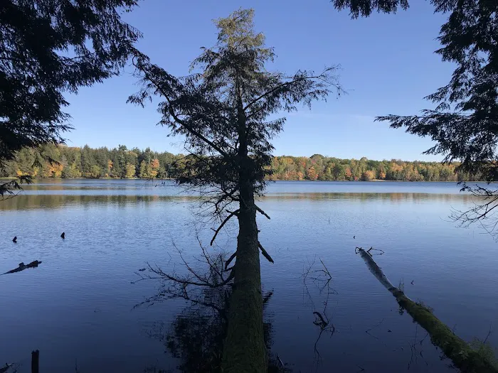 Lost Lake Cabins Picture 2