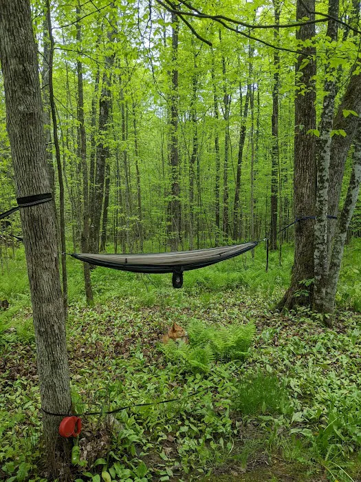 Lost Lake Cabins Picture 6