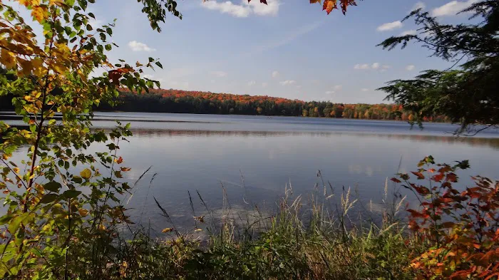 Lost Lake Campground Picture 2