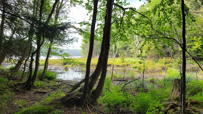 Lost Lake Campground Picture 6