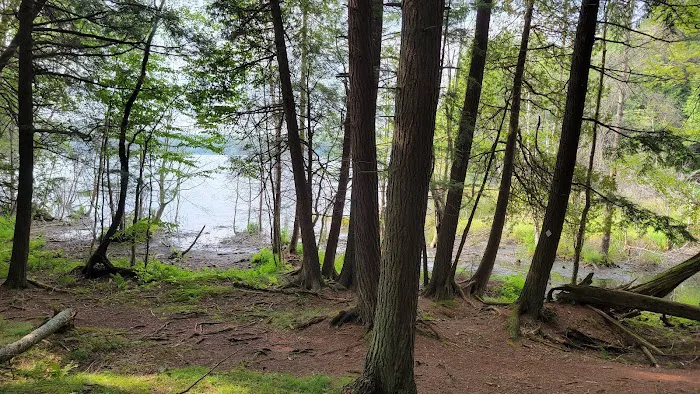 Lost Lake Campground Picture 7