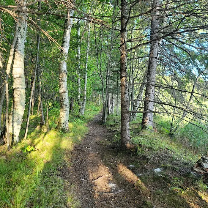 Lost Lake Campground Picture 3