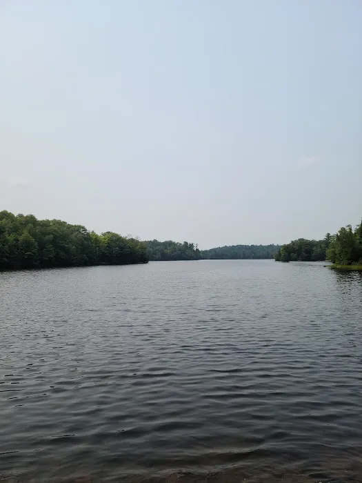 Pine River Flowage Boat Landing and Camp Sites (south end) Picture 5