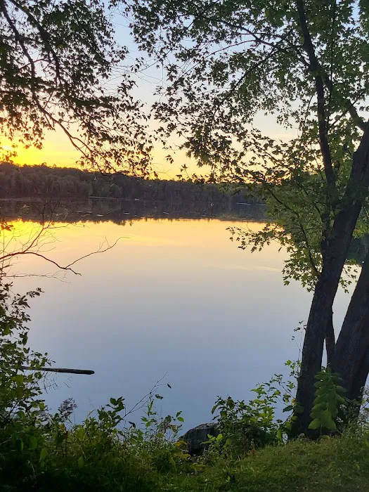 Pine River Flowage Boat Landing and Camp Sites (south end) Picture 1