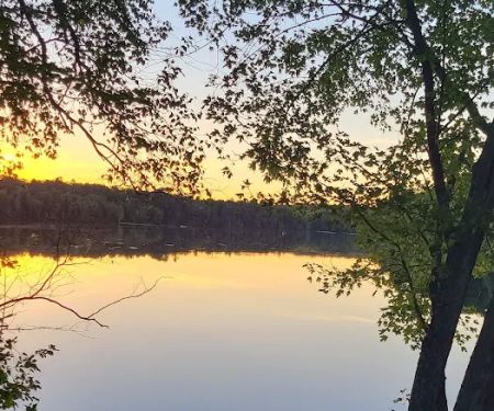 Pine River Flowage Boat Landing and Camp Sites (south end)