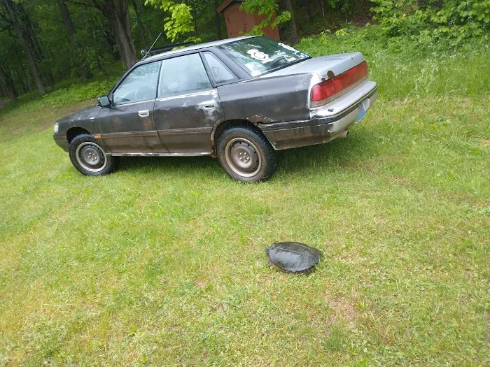Pine River Flowage Boat Landing and Camp Sites (south end) Picture 3