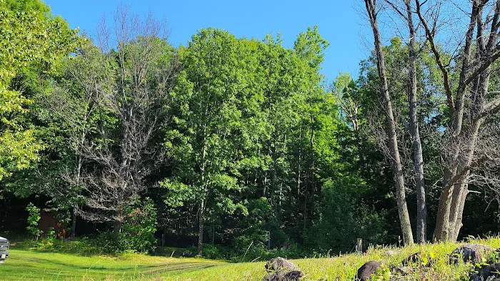 WE Energies Wilderness Shores Recreation Area #34 Picture 4