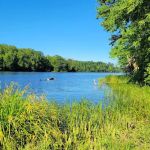 WE Energies Wilderness Shores Recreation Area #34