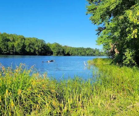 WE Energies Wilderness Shores Recreation Area #34