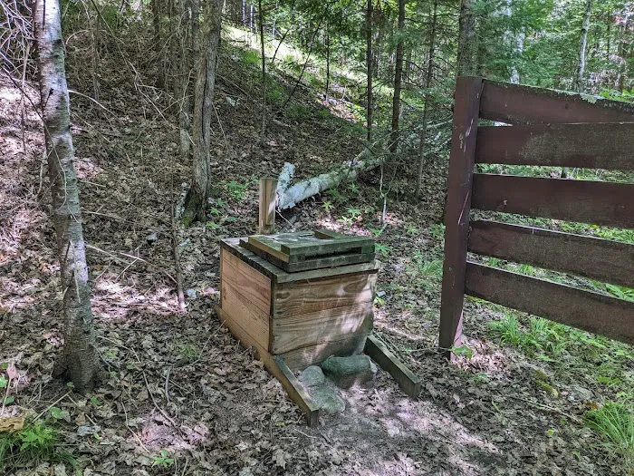 Perch Lake Campground Picture 5