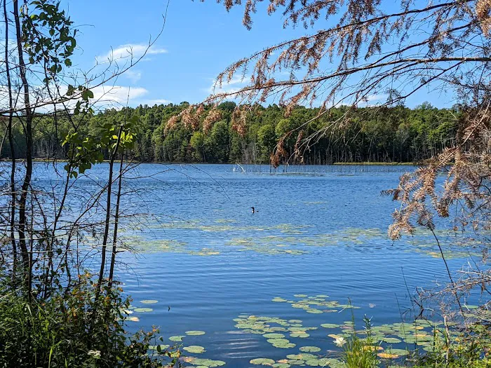 Perch Lake Campground Picture 2