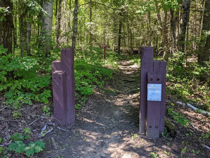 Perch Lake Campground Picture 9