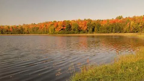 Perch Lake Campground Picture 8