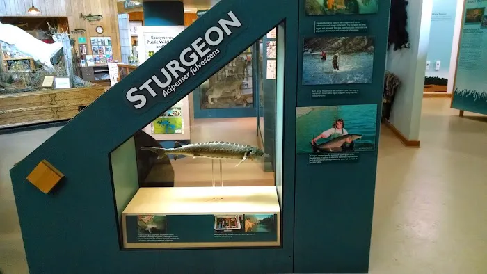 US Forestry Department Picture 1