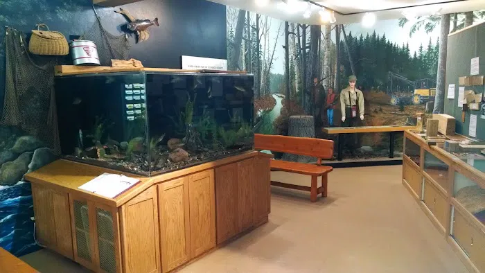 US Forestry Department Picture 7