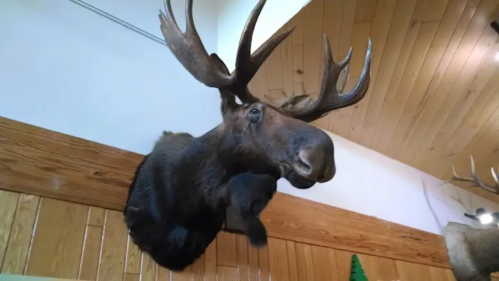 US Forestry Department Picture 2