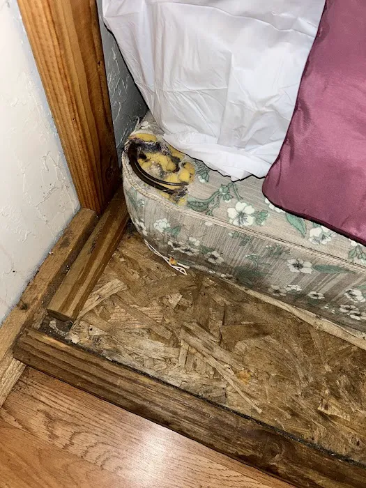 Camping In the Clouds/Mineshaft Bar & Grill Picture 9