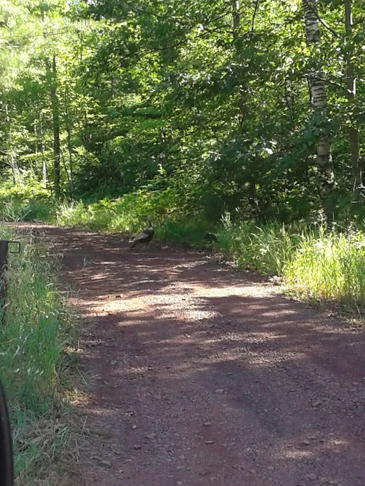 Camping In the Clouds/Mineshaft Bar & Grill Picture 7