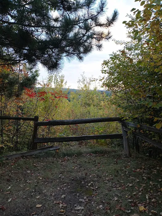 Camping In the Clouds/Mineshaft Bar & Grill Picture 6