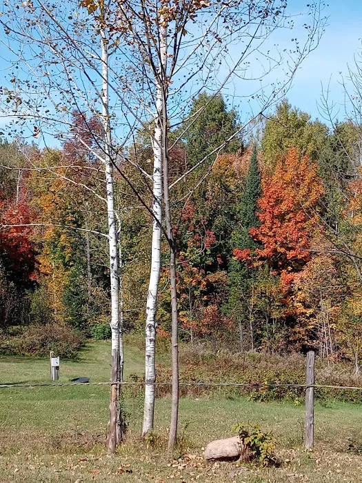 Camping In the Clouds/Mineshaft Bar & Grill Picture 8