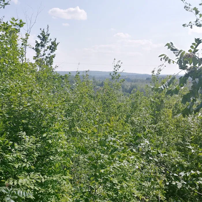 Camping In the Clouds/Mineshaft Bar & Grill Picture 5