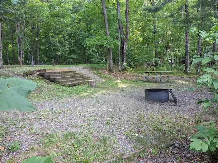 Stevens Lake Campground Picture 3