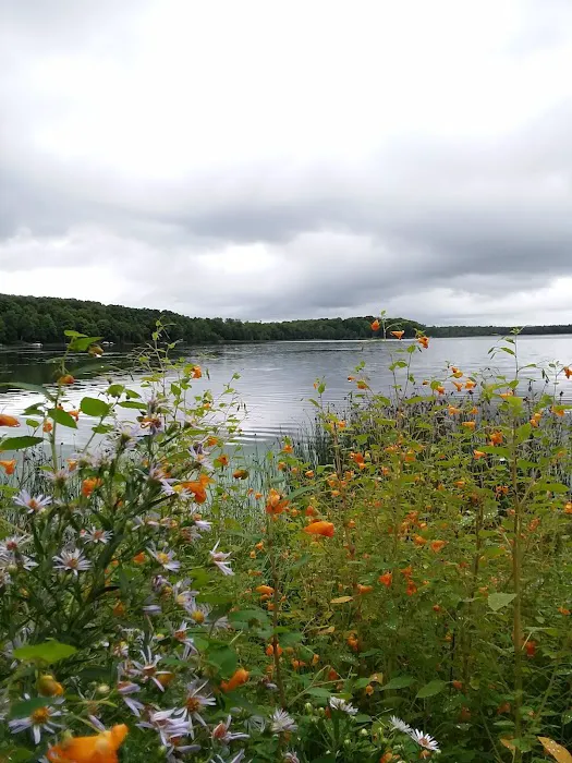 Stevens Lake Campground Picture 8