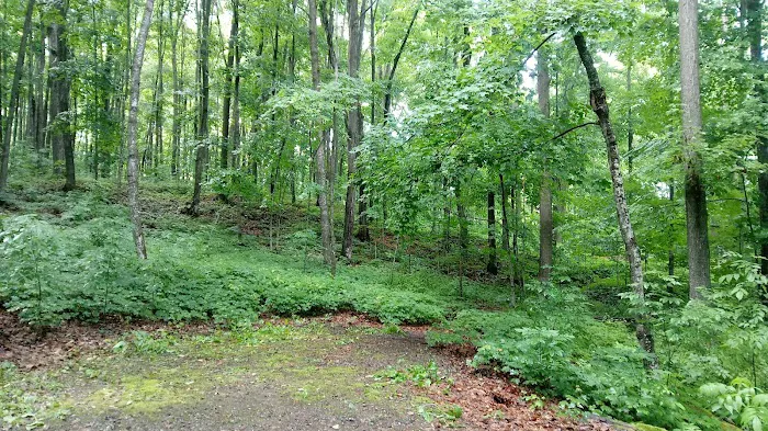 Stevens Lake Campground Picture 5