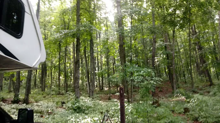 Stevens Lake Campground Picture 7