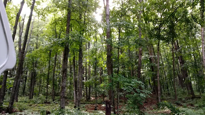 Stevens Lake Campground Picture 6