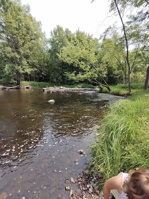 Jimmy's World Bar and Campground Picture 2