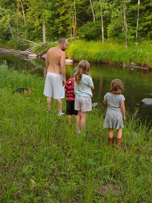 Jimmy's World Bar and Campground Picture 1