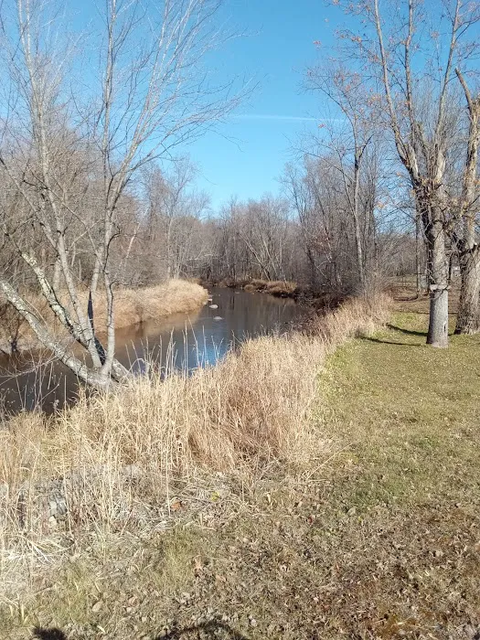 Jimmy's World Bar and Campground Picture 9