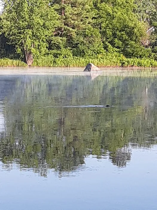 East River Run Campground Picture 2