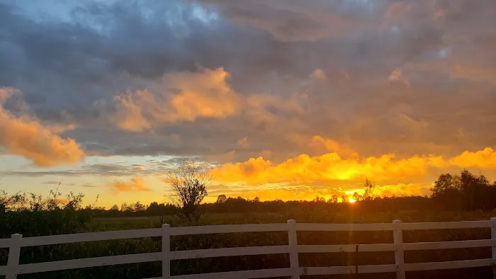 Sand Haven Campground Picture 2