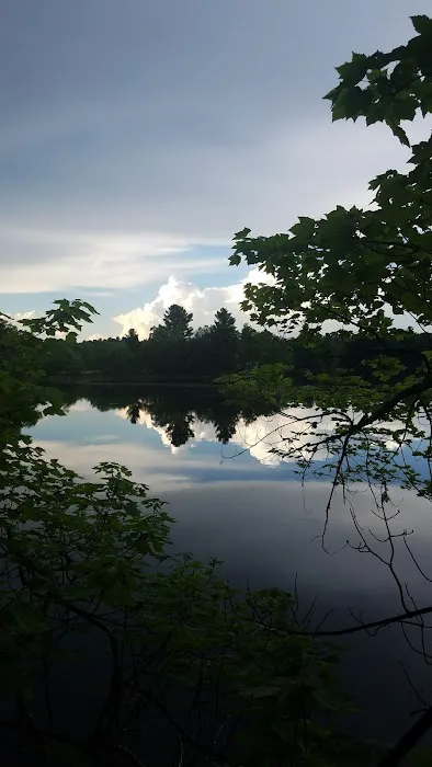 Loon Lake Campground Picture 4