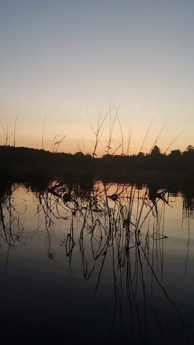 Loon Lake Campground Picture 2