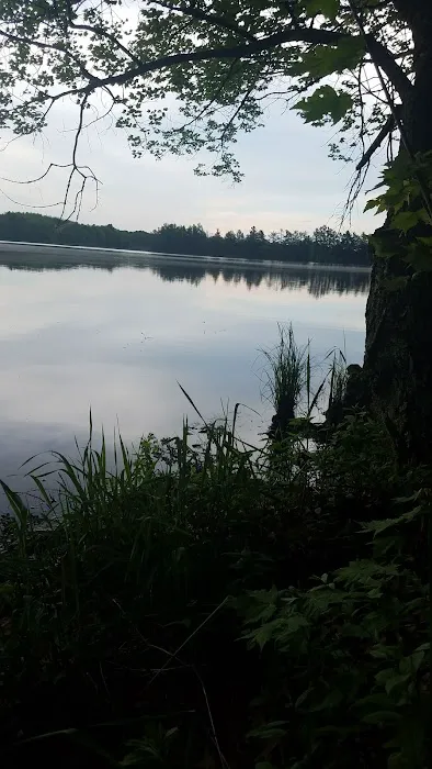 Loon Lake Campground Picture 6