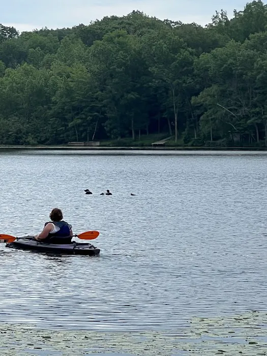 Lured In Resort & Campground Picture 9