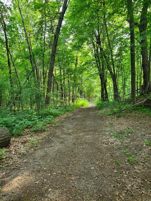 Eagle View RV Camp Picture 10