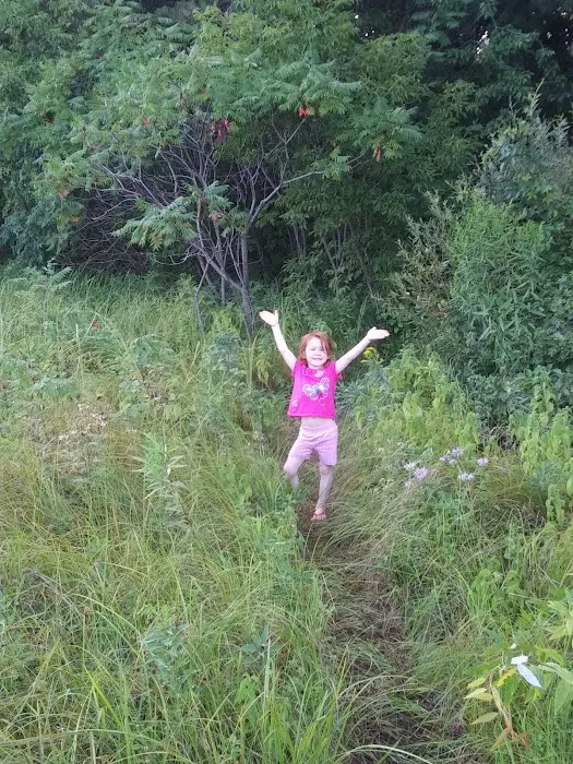 Twin Springs Resort Campground Picture 4