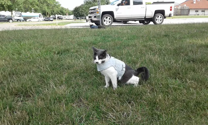 Adventureland Campground Picture 9