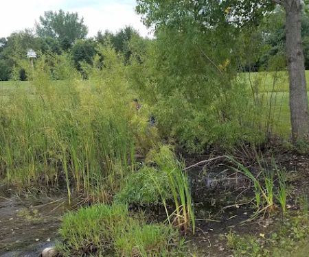 Camp Maiden Rock West