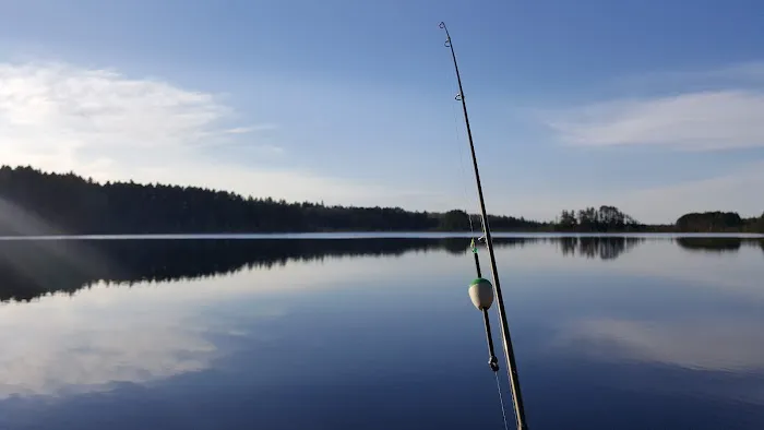 Wolf Lake Campsite Picture 3