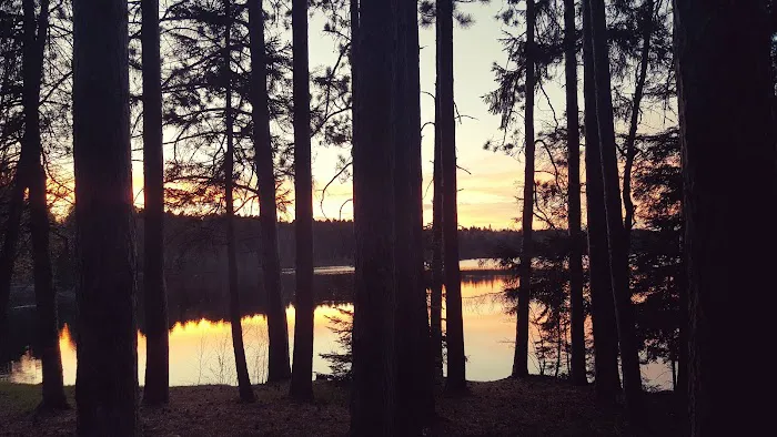 Wolf Lake Campsite Picture 6